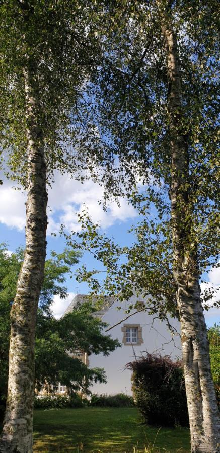 Crown Roads Bed & Breakfast Le Faouet  Bagian luar foto