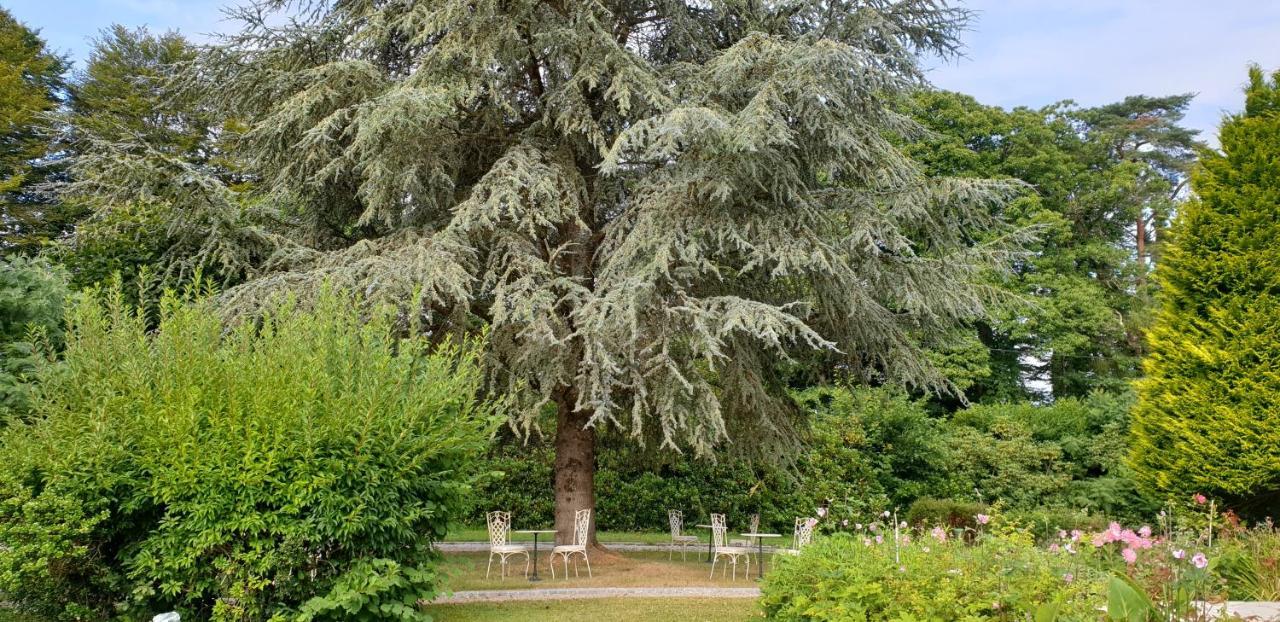 Crown Roads Bed & Breakfast Le Faouet  Bagian luar foto